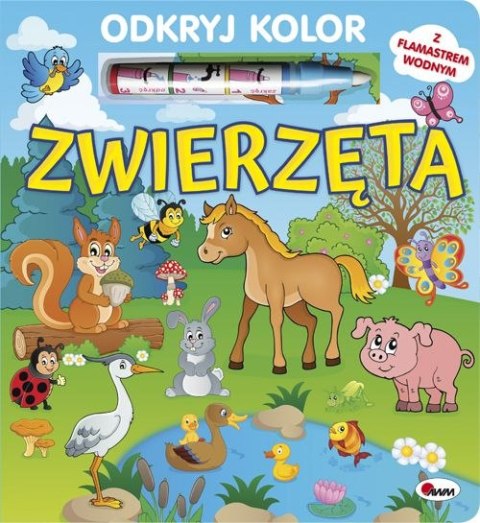 EDUC BOOK ENTDECKEN SIE DEN COLOR TIERE WASSERSTIFT 230X260 MOREX