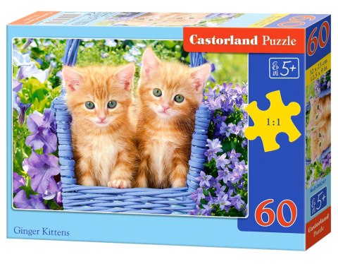 PUZZLE 60 TEILE GINGER KITTENS CASTORLAND B-066247