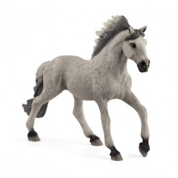Mustang Pferd Sorraia Hengst Figur