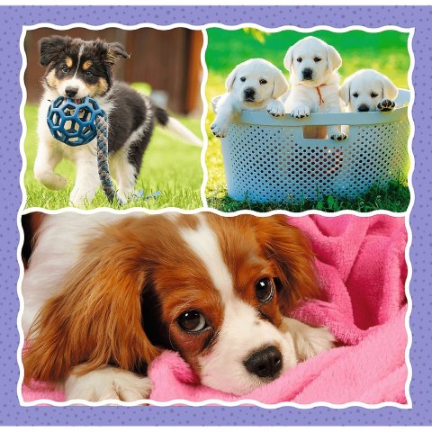 PUZZLE 3IN1 SÜßE HUNDE PUD TREFL 34854 TR