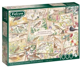 1000-teilige Puzzles FALCON Postkarten mit Vögeln