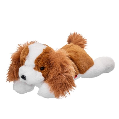 PLUSZAK PIES 35CM CAVALIER BEPPE 14076 BS BEPPE