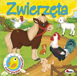 BROSCHÜRE DISCOVERING SOUNDS TIERE EDUC 260X220 AWM