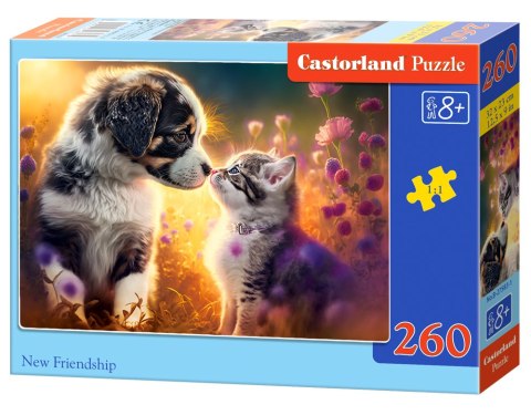 PUZZLE 260 EL. NEW FRIENDSHIP CASTORLAND B-27583 CASTOR