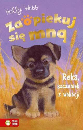 KSIAZECZKA 125X195 REKS SZCZENIAK Z WAKACJI ZS WYDAWNICTWO ZIELONA SOWA