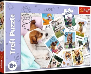 PUZZLE 300 Teile FOTOS VOM URLAUB TREFL PUD 23003 TREFL