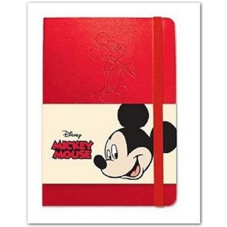 NOTES Z GUMKĄ B5 96 KARTEK KRATKA TWARDA OPRAWA DISNEY CANPOL DNB5-96K