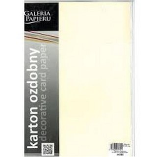 KARTON OZDOBNY A4 KREMOWY FLORYDA 220G GALERIA PAPIERU 979704 ARGO