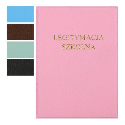OKŁADKA NA DOKUMENTY UCZNIA DOLARO L2D A 10 KM PLASTIK 498558 KM PLASTIK
